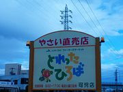 Ԃ񂽂JA߂݂̃t@[}[Y}[PbgƂЂ΂̓eʐ^1