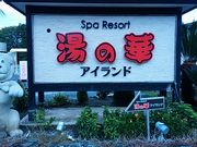 Ԃ񂽂̓̉؃ACh̓eʐ^1