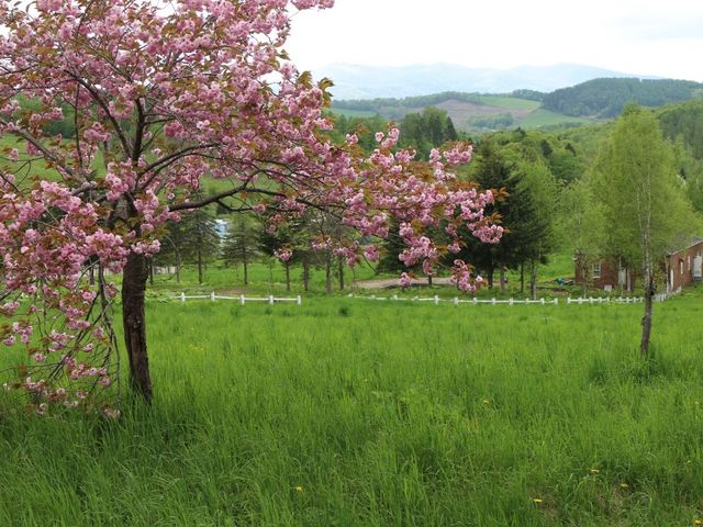 ���d��_�J�i�f�B�A�����[���h