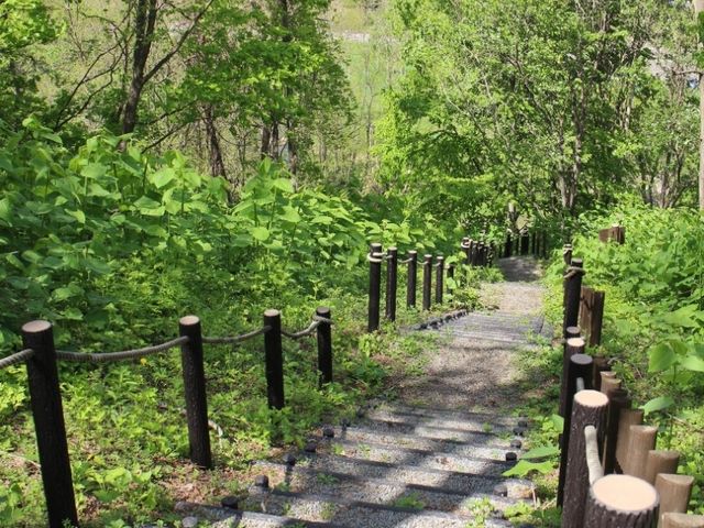 �r���܂œo��܂���_���{��̃Y���R�K�i