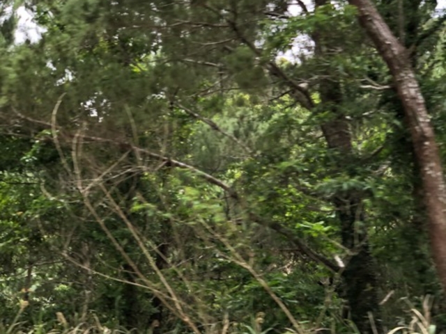 ҁ[̂̐\Rx{т̓eʐ^1