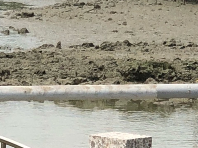 ҁ[̂̂тόʂ̓eʐ^1