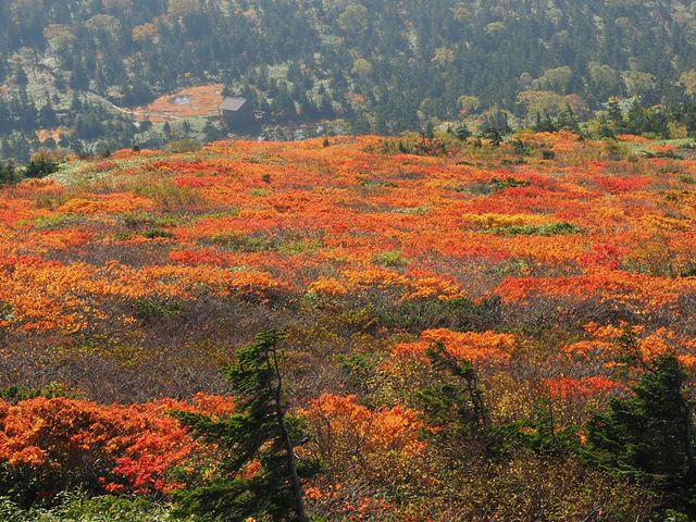 �g�t_�O�b�ΎR