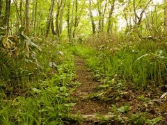 u-min����̗����ʎ��R�����i�����ʌ����сj�ւ̓��e�ʐ^1