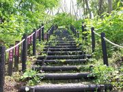 񂳂̓{̃YRKi̓eʐ^2