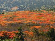 C[XgEbh̎ObΎR̓eʐ^2