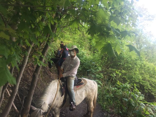 DX^bt̃AhoCXŏnɂȂ܂_CNg[`