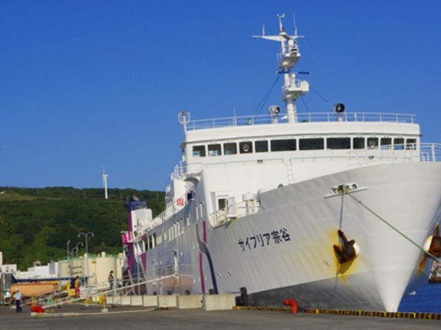 ���ւ̌��֌�_�t���`