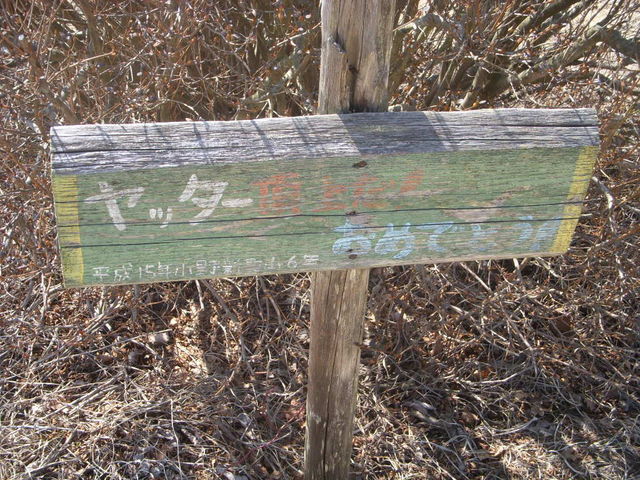 �n���̏��w����������R���̊ŔB_���b�R