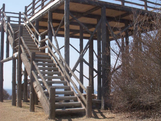 �V�����W�]��ł��B_���b�R