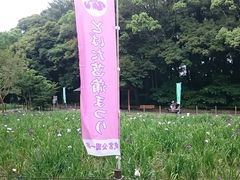 ܂܂̖{̉Ԃ傤Ԃւ̓eʐ^1