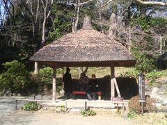 ���Ƃ��񂳂�̊ۉ��i���ΐ��y���j�ւ̓��e�ʐ^1