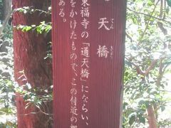 Ƃ񂳂̒ʓViΐyjւ̓eʐ^1