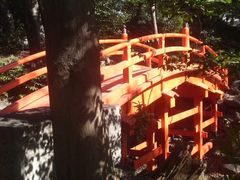 Ƃ񂳂̒ʓViΐyjւ̓eʐ^2