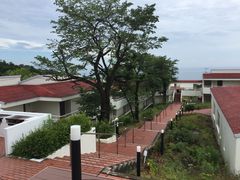 񂳂̃u}bNX][gɓނւ̓eʐ^1