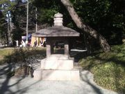 Ƃ񂳂ٌ̈`Uiΐyj̓eʐ^2