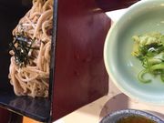 }񂳂̂񂱘F[͓X̓eʐ^1