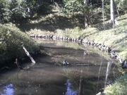 Ƃ񂳂̐_c㐅Ձiΐyj̓eʐ^2