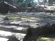 Ƃ񂳂̔TՁiΐyj̓eʐ^2