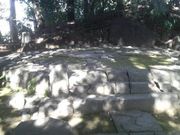 Ƃ񂳂̔TՁiΐyj̓eʐ^3