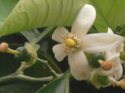 key̖bӂ邳Ɗق̓eʐ^2