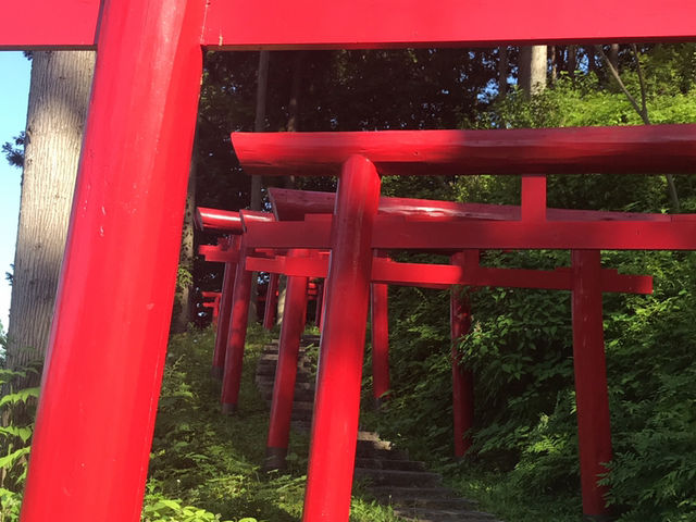 ����h�̒�̒���_�ꔨ����