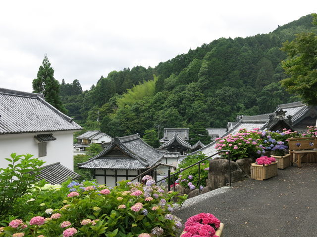 �k�J��_���J�ω��k�J��