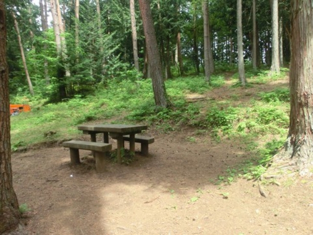 �_�C�������h�K�X�g����̃G�R�p�ɓރ��΃O���[�����b�W�e���g�T�C�g�̓��e�ʐ^2