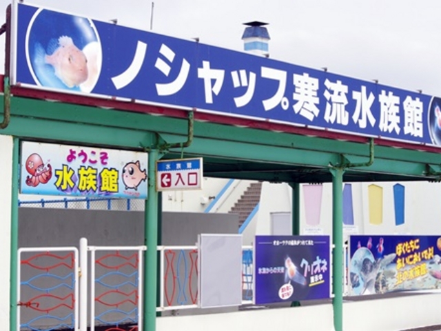 �Ŗk�̐�����_�m�V���b�v����������