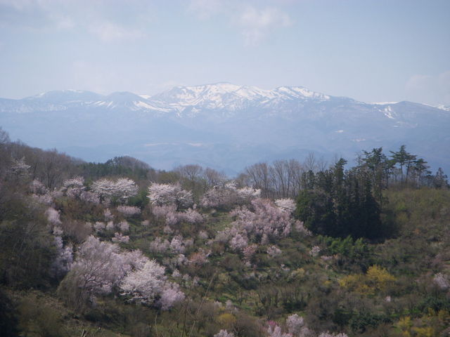 ��ȘA��B_�Ԍ��R����