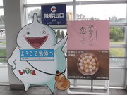 񂳂̓`όēi`^[~irj̓eʐ^3