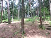 _ChKXg̃GRpɓރ΃O[bWegTCg̓eʐ^1