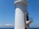 こぼらさんの伊良湖岬灯台の投稿写真1