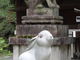 ぽんぽこさんの東天王岡崎神社の投稿写真1