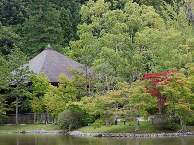 ����������񂳂�̍��󔒐�����ɓ��̌Ñ�n�X�̓��e�ʐ^3