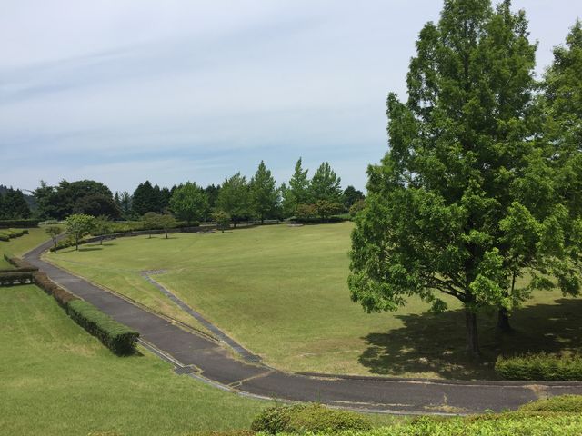 ����_������Y���[�t�̐X