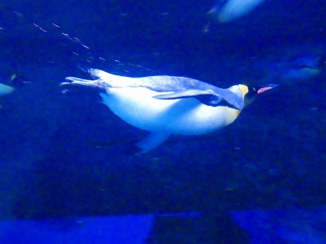 ���s�`��E�C�V��_�C�V��