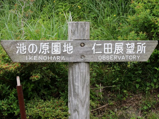 �ē���_��