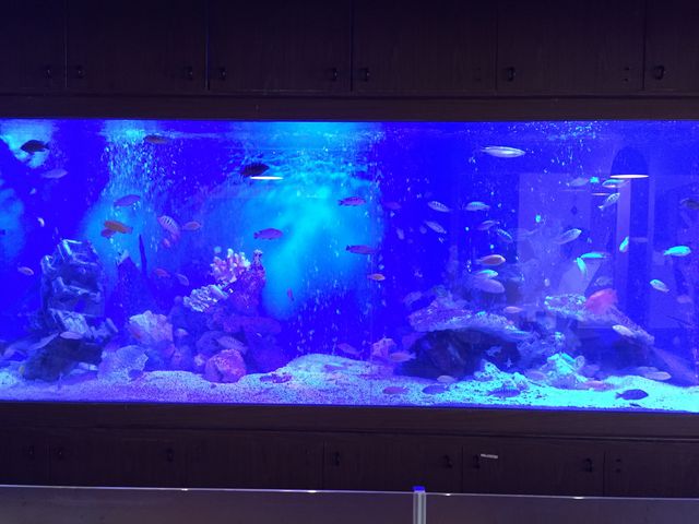 qṼV[t[hXg qR LX̓eʐ^1