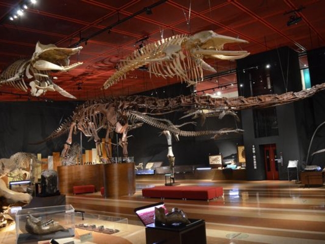 z[ɉ΂ςB_킫sΒYEΊ