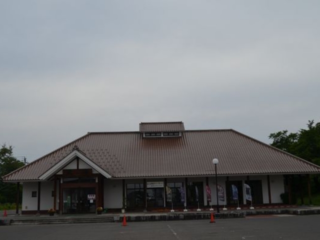 񂳂̑̂܂lGʊق̓eʐ^3