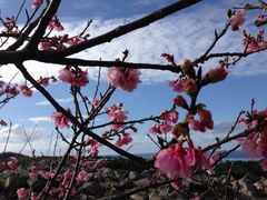 ��������̔��d�x�̍����؂ւ̓��e�ʐ^1