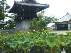 ゆきなさんの中山寺庭園の投稿写真1