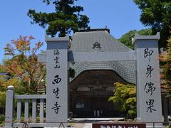 ����������񂳂�̐������̑��ǂւ̓��e�ʐ^1