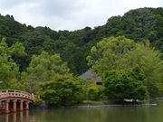 ����������񂳂�̍��󔒐�����ɓ��̌Ñ�n�X�̓��e�ʐ^1