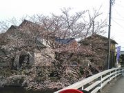 tsuyo3̋،̍E̓eʐ^1