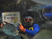 寺泊水族博物館 アクセス 営業時間 料金情報 じゃらんnet