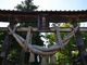 ろっきぃさんさんの新宮熊野神社への投稿写真4