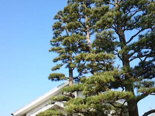 ͂邤炳̒msjՕۑق̓eʐ^1