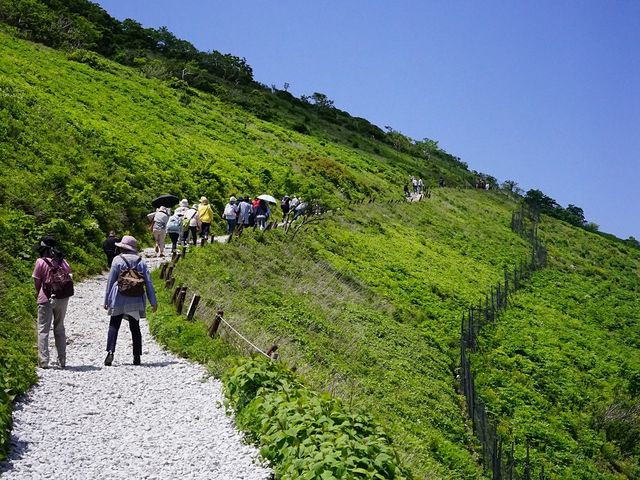 ԏꂩR֑łB
6{ł΂ƂĂꂢłB_ɐR